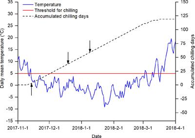 The Interactive Effects of Chilling, Photoperiod, and Forcing Temperature on Flowering Phenology of Temperate Woody Plants